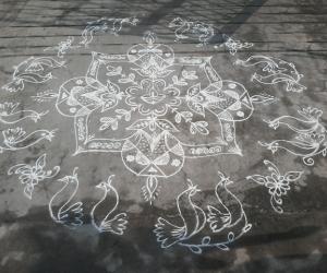 Rangoli: Simple white kolam....