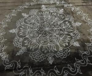 Rangoli: Circle kolam with lotus
