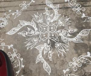 Peacock chikku kolam