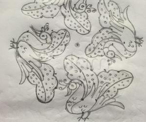 Simple peacock rangoli....