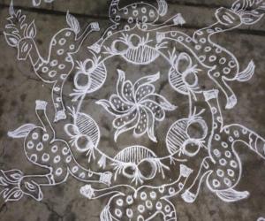 Rangoli: Dhanurmaasam day 8...