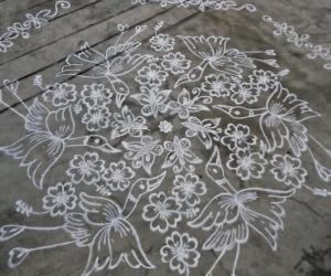 Rangoli: Flying cranes... 