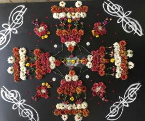 Rangoli: Pongal special..