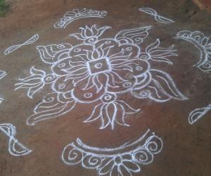 Rangoli: Lotus Rangoli