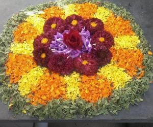 Rangoli: Daily kolam!!