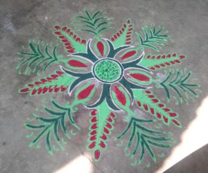 Daily kolam!