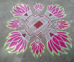 Lotus kolam!