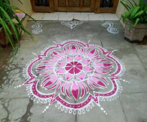 Lotus kolam!