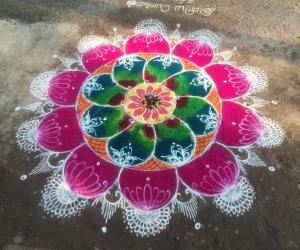 pongal rangoli