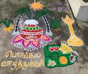 Rangoli: Pongal kolam