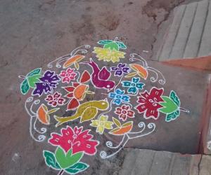 Margazhi kolam
