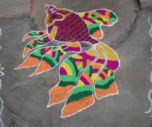 Margazhi kolam 
