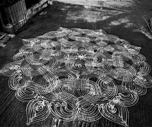 Padi kolam 