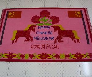 Happy Chinese new year