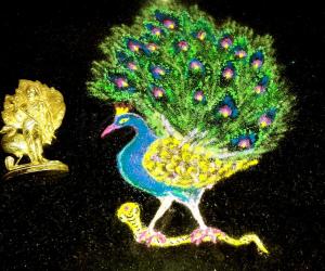Proud peacock