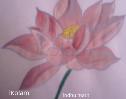 Rangoli: Watercolor Lotus