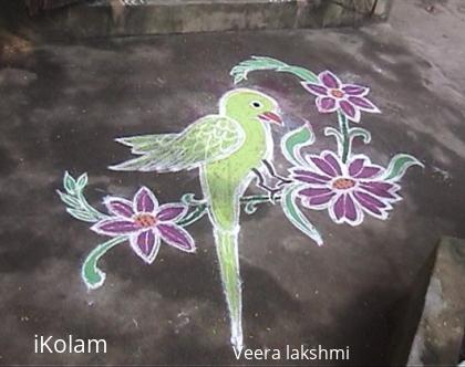 Rangoli: Parrot