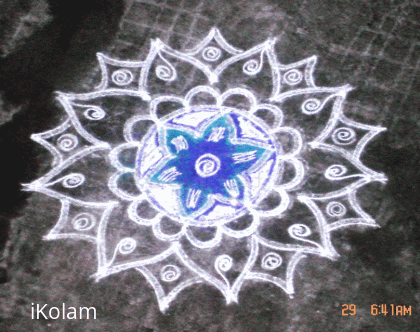 Rangoli: Cyanocrocus