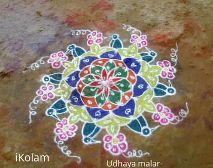 Rangoli: Rangoli