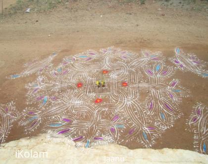Rangoli: Jaanu - Margazhi dew drops kolam 1
