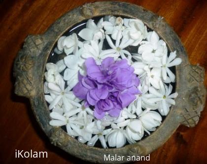 Rangoli: Violet Flowers