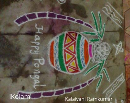 Rangoli: pongal kolam