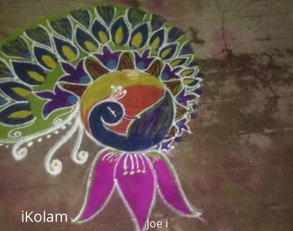 Rangoli: Peacock 