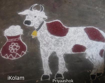 Rangoli: Mattu pongal rangoli