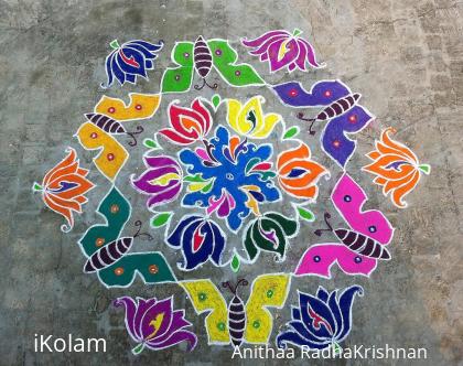 Rangoli: My first Kolam for iKolam :)