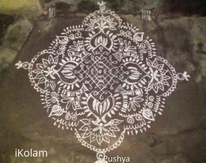 Rangoli: Margazhi kolam 