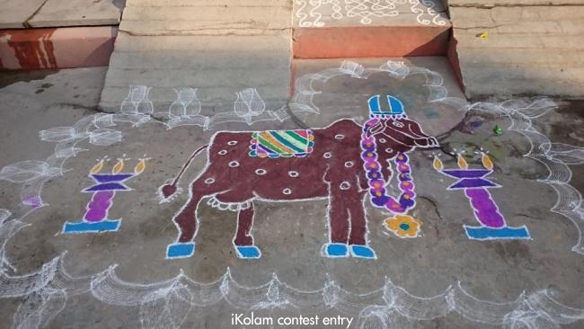 Maattu pongal rangoli