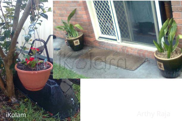 My Garden - Decor plants - decor1.jpg