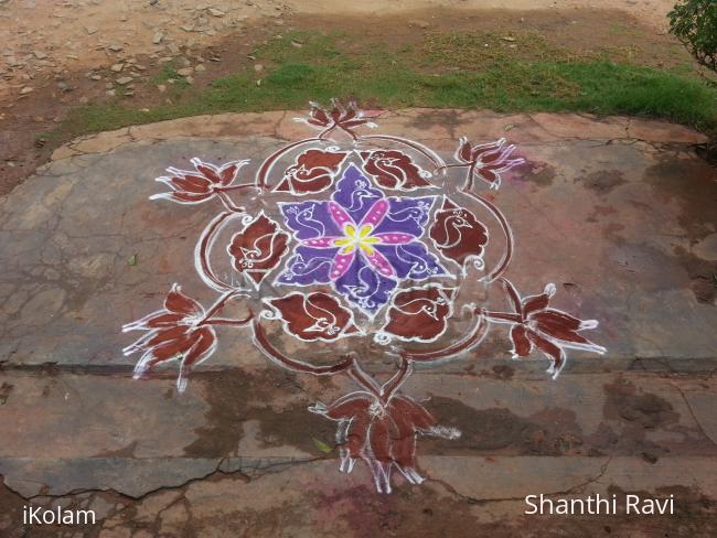 Rangoli: shell rangoli.
