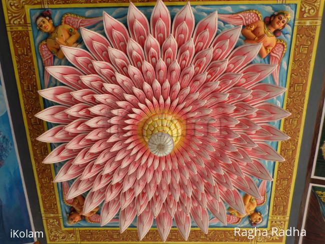 Rangoli: LOTUS RANGOLI AT THE ROOF TOP.