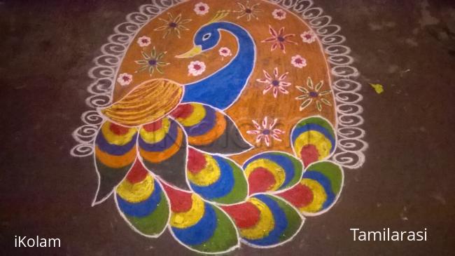 Rangoli: colourful peacock