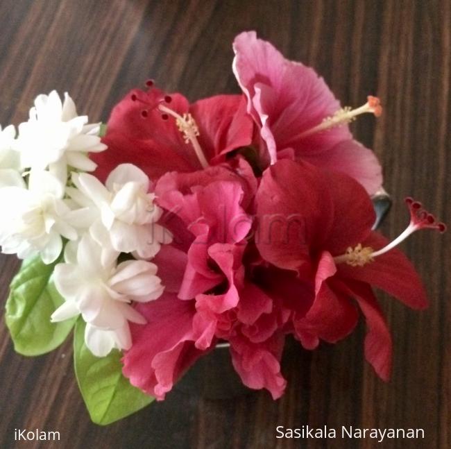 Flowers of my garden -