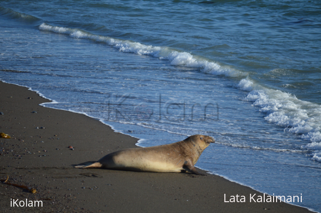 Morro Bay - California -