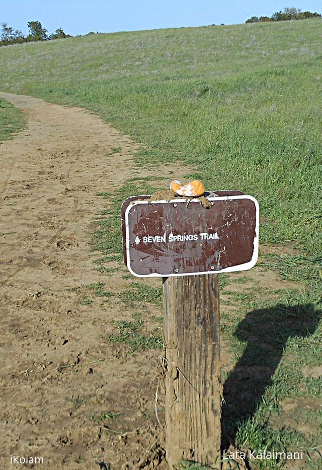 Hiking - pictures - 