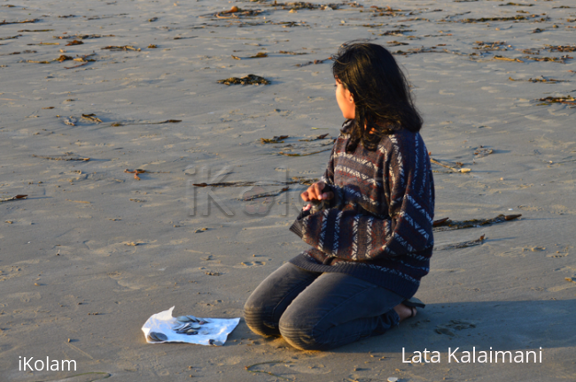 Morrow Bay beach - collecting Sand Dollars - 