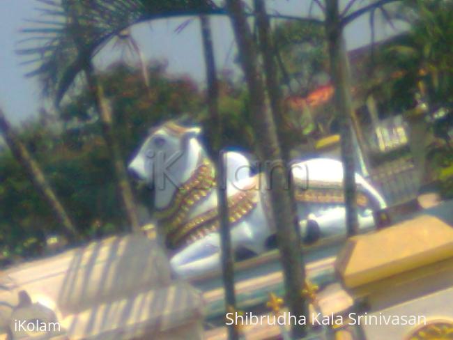 photos - 