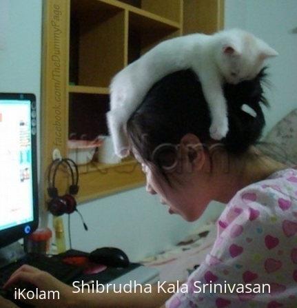 Cat sleeping on head - Lucky cat sleeping on the head of owner!!