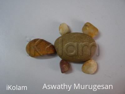 world turtle day! - 