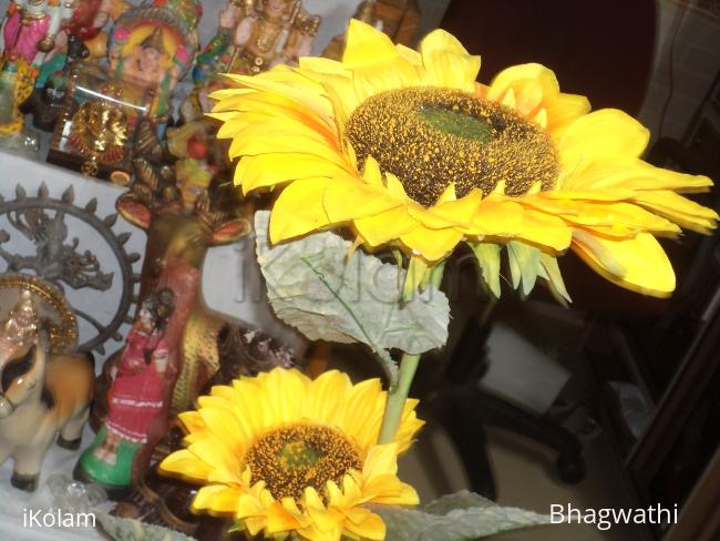 navarathri golu 2014 @ my home - 