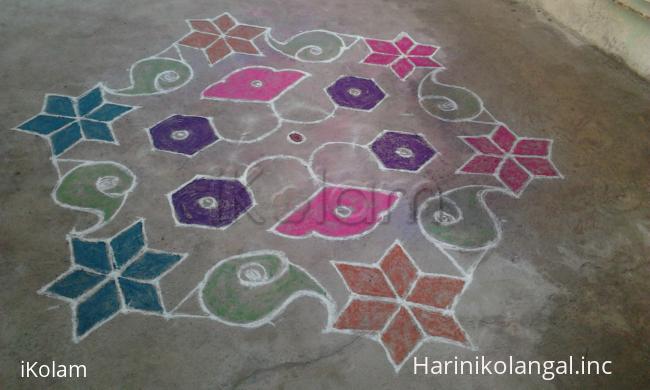 Star and shell kolam  - 
