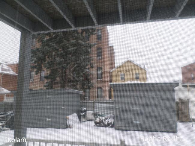 SNOW FALLING... - 