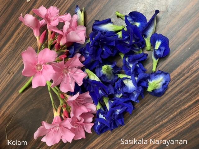 My flowers - 