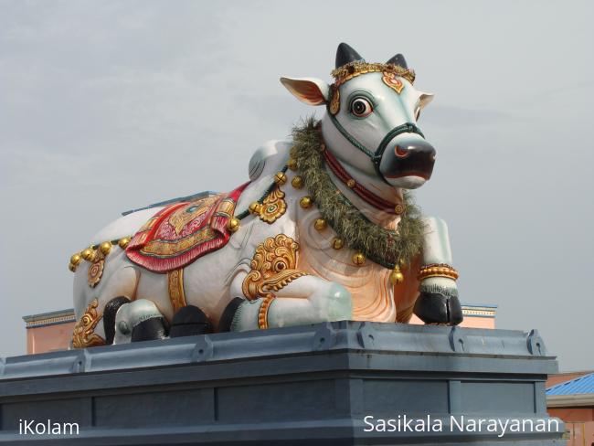 Nandhi-Bull - 