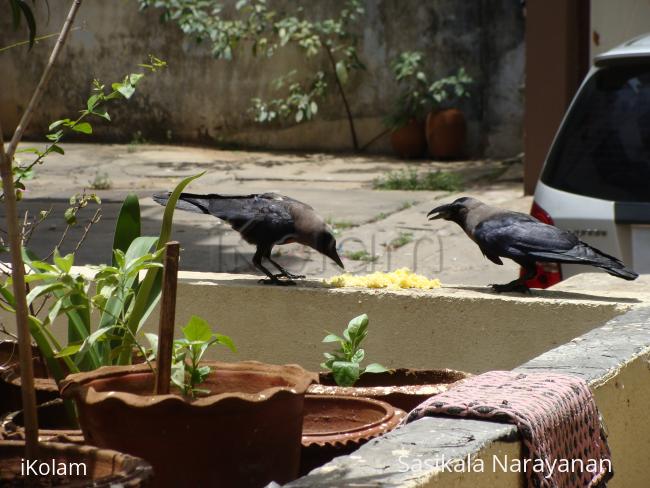 Sharing - 
