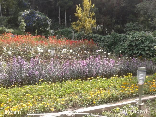 dd kodaikanal scenes 12 - 