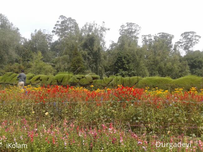 dd kodaikanal scenes 11 - 